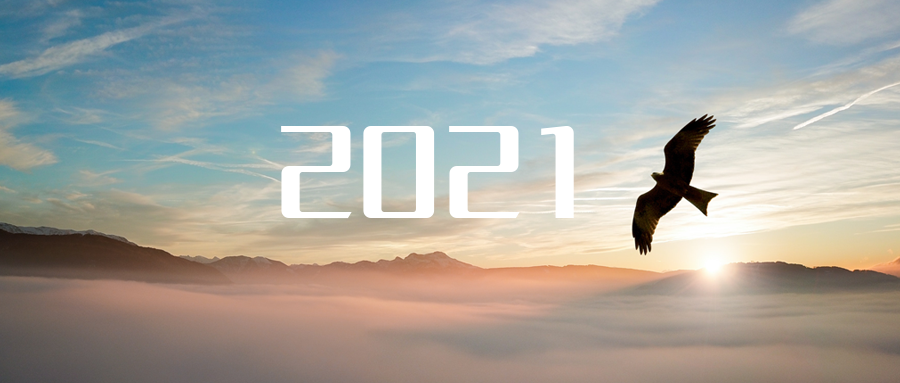 乘“峰”而上，智“盈”未来 ——2021年九游娱乐Nineame官方网站环境高级资深副总裁新年开工动员