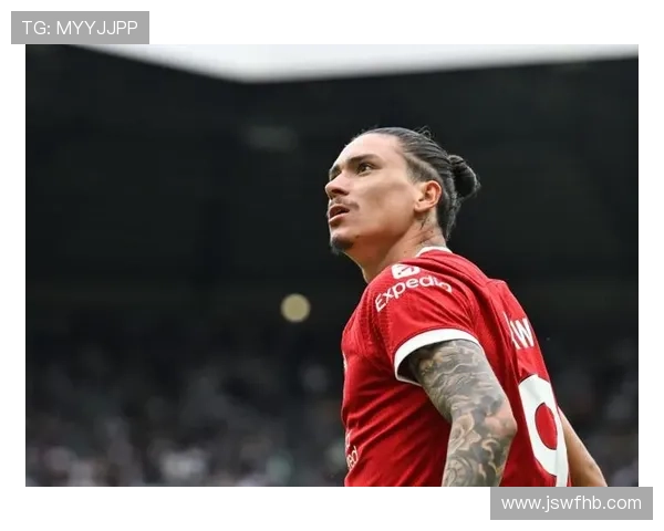 努涅斯本菲卡时期荣誉解析：成名基础是否已奠定